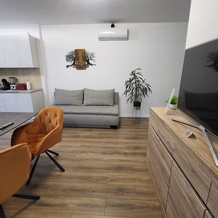 Sika Sunny Garden Apartment Arad Exterior foto